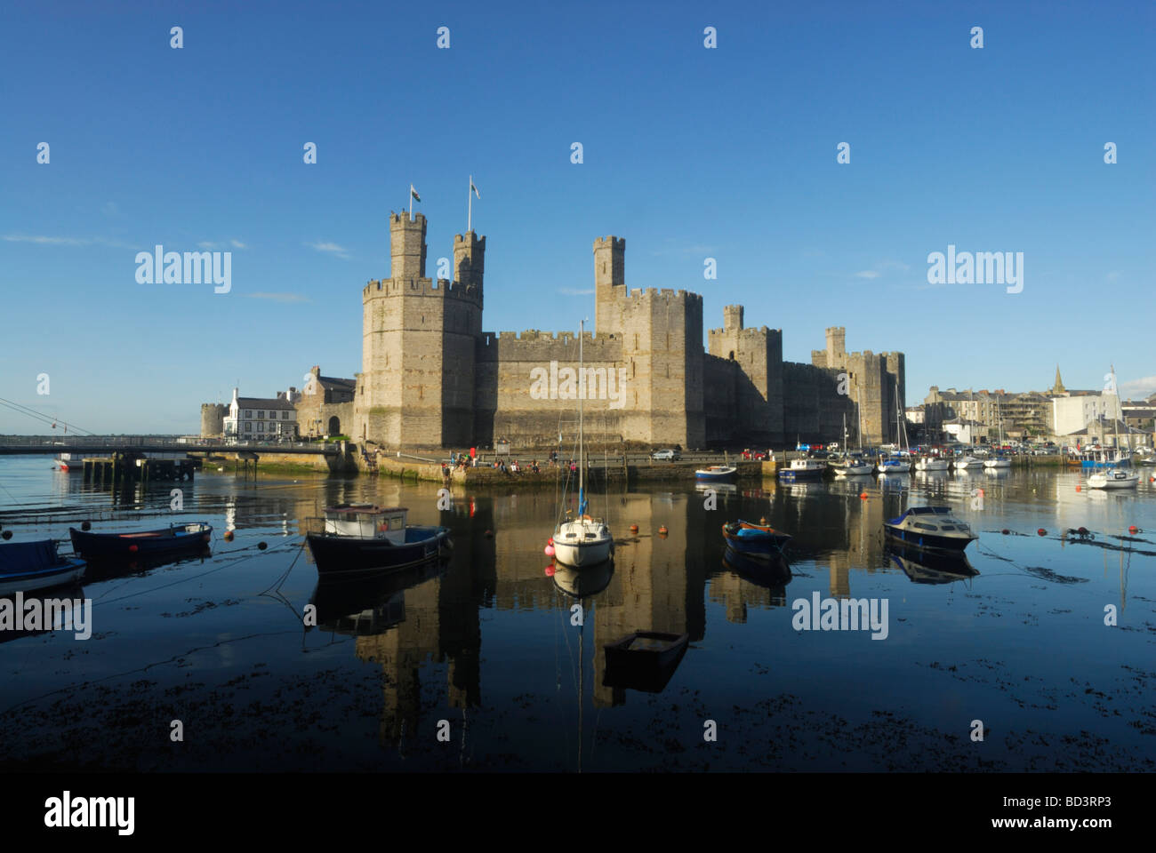 Caernarfon Castle Caernarfon Gwynedd Wales UK Stockfoto