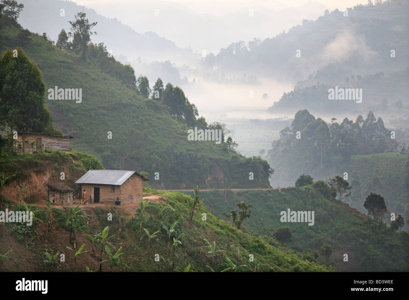 Am frühen Morgen in der Nähe von Kisoro Uganda Stockfoto