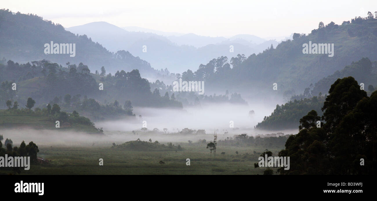 Am frühen Morgen in der Nähe von Kisoro Uganda Stockfoto