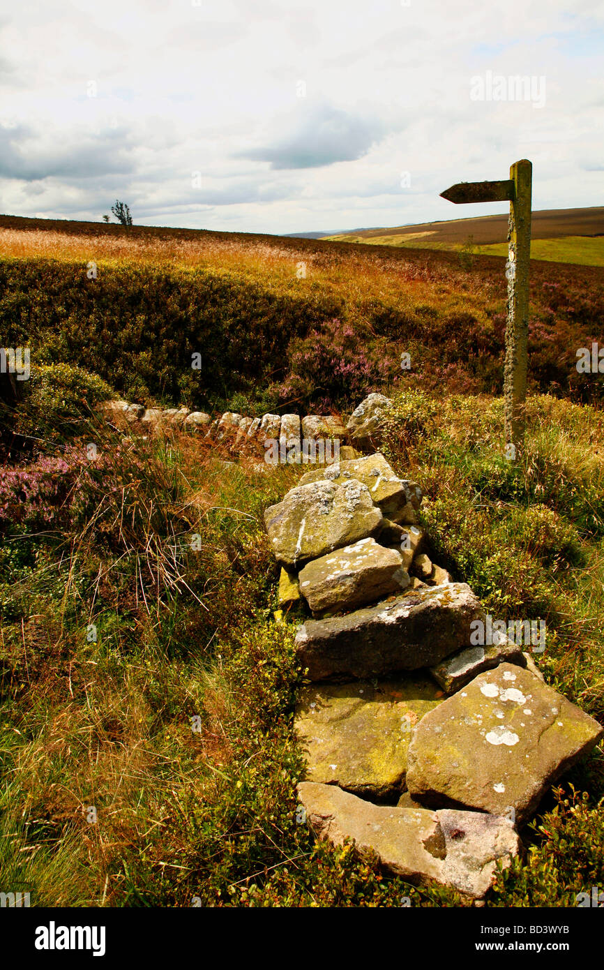 Wanderweg Finger Post auf den Hügeln in der Nähe von Flash in Derbyshire, Peak District National Park, UK Stockfoto