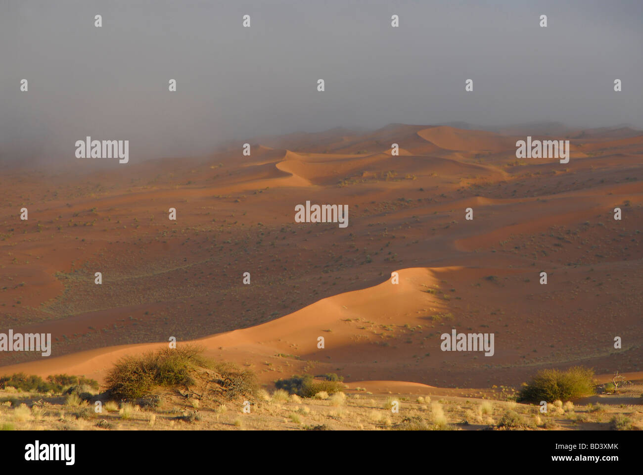 Ansicht der Koichab Pan in der Namib-Wüste, Afrika. Teil des Namib-Naukluft-Park, größte Wildreservat in der Welt. Stockfoto