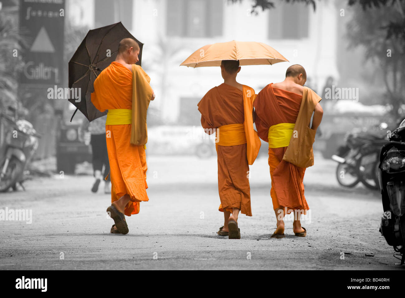Junge buddhistische Mönche zu Fuß die Straße runter in Luang Prabang, Laos Stockfoto
