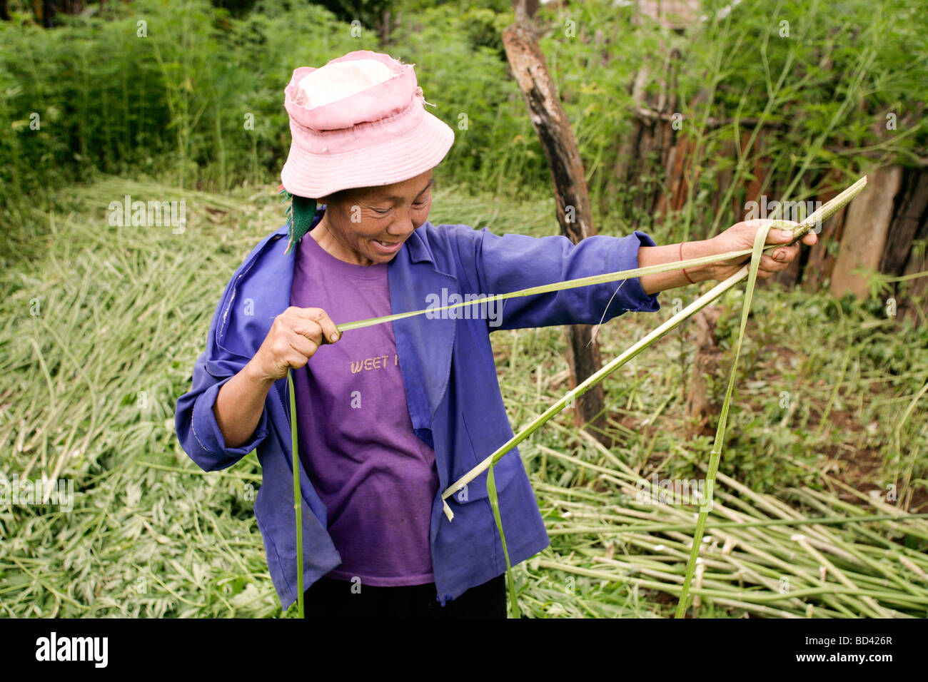 Xieng Khouang, Laos, Indochina; Hanfernte Stockfoto