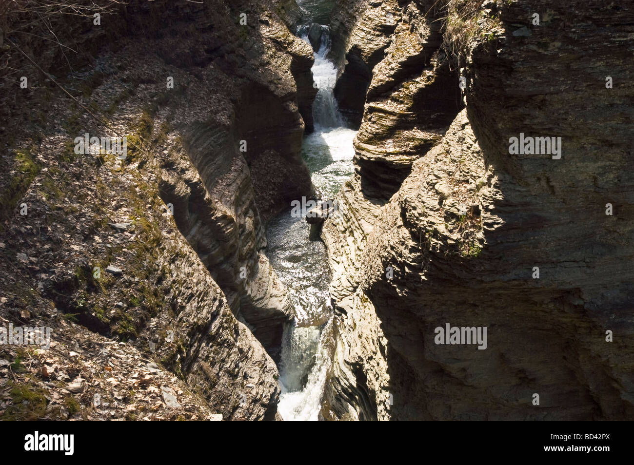 Watkins Glen State Park, New York, USA, USA, Vereinigte Staaten von Amerika Stockfoto