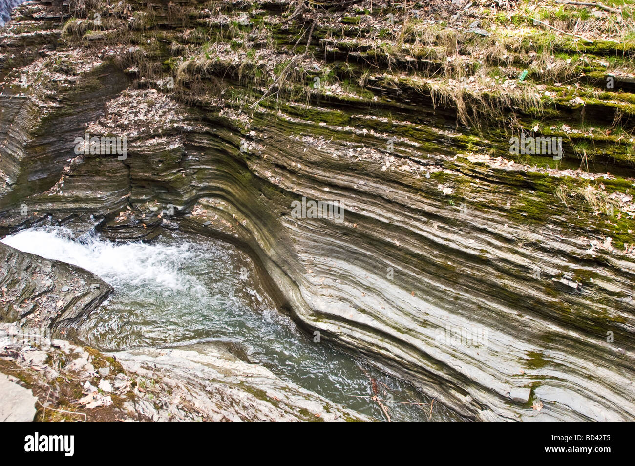 Watkins Glen State Park, New York, USA, USA, Vereinigte Staaten von Amerika Stockfoto