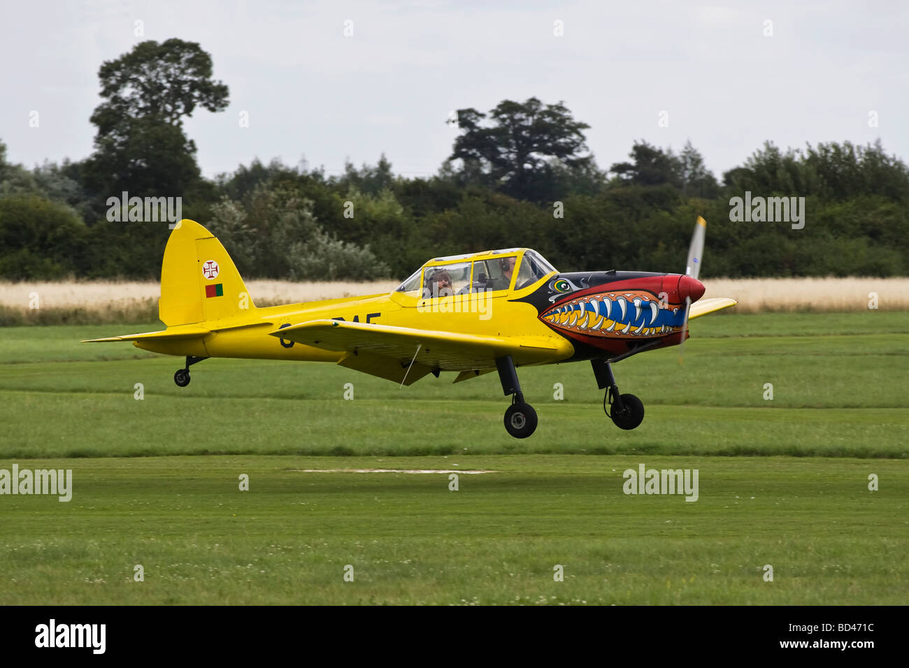 Eine De Havilland DHC1 Streifenhörnchen in Portugiesisch AF Farben lackiert Stockfoto