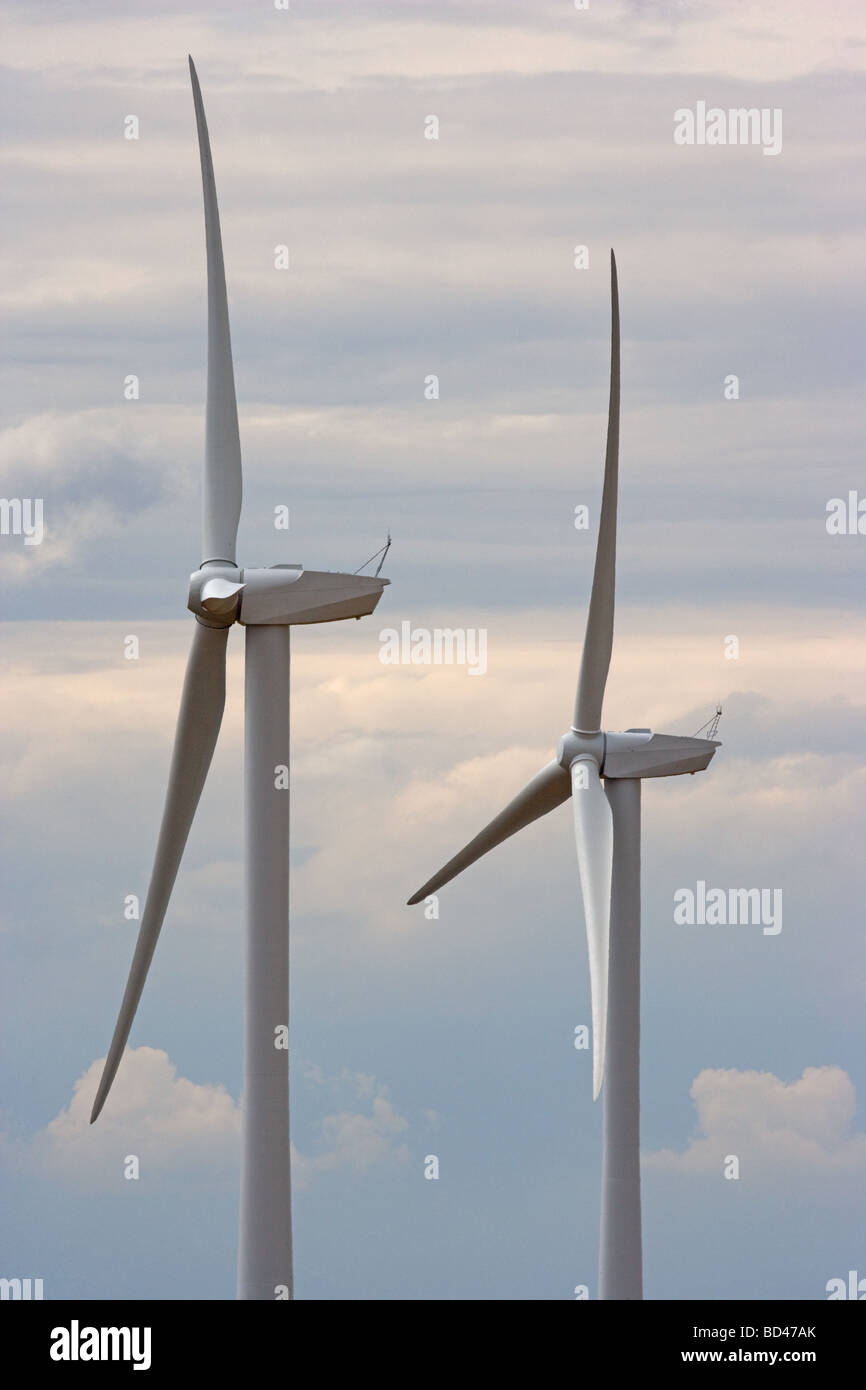 Windpark In Lincolnshire Fens Stockfoto