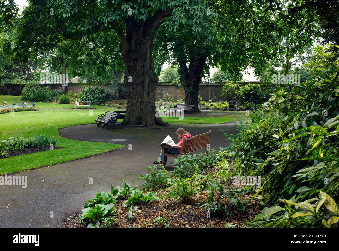 Eine Frau liest in einem abgelegenen Park in Warwick, UK Stockfoto