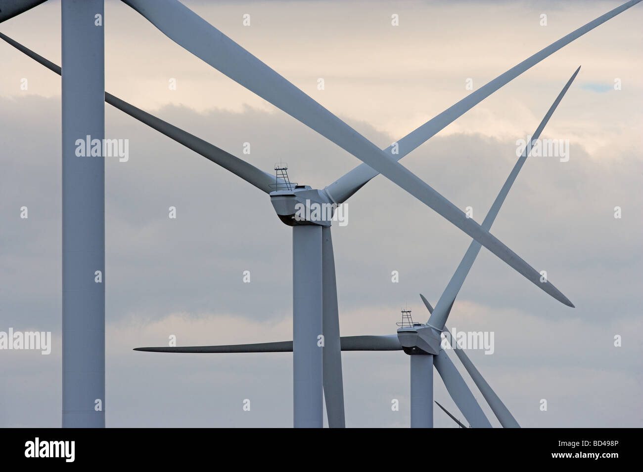 Windpark In Lincolnshire Fens Stockfoto