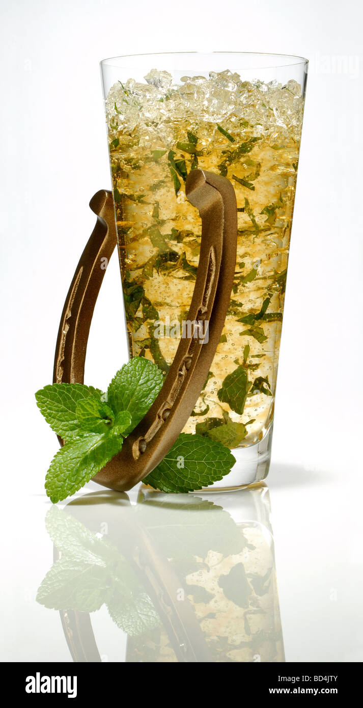 Einen Mint Julep in ein hohes Glas mit Eis. Eine Bronze Hufeisen und Minze neben das Glas Stockfoto
