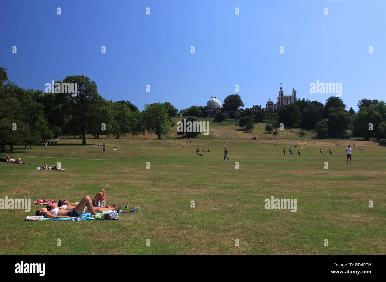 Sonnenanbeter im Greenwich Park, London, UK Stockfoto