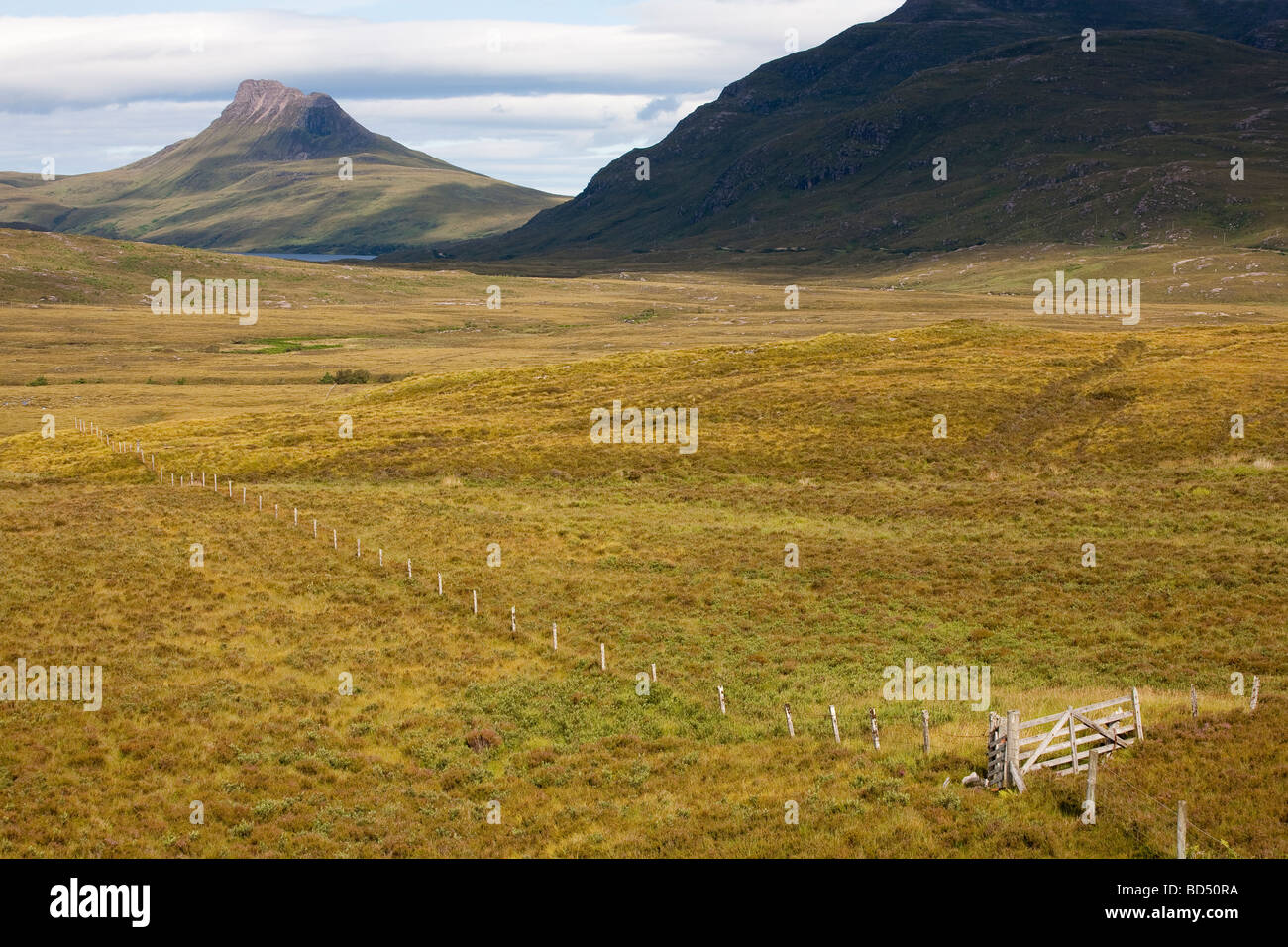 Stac Pollaidh, Inverpolly National Nature Reserve, Schottland Stockfoto