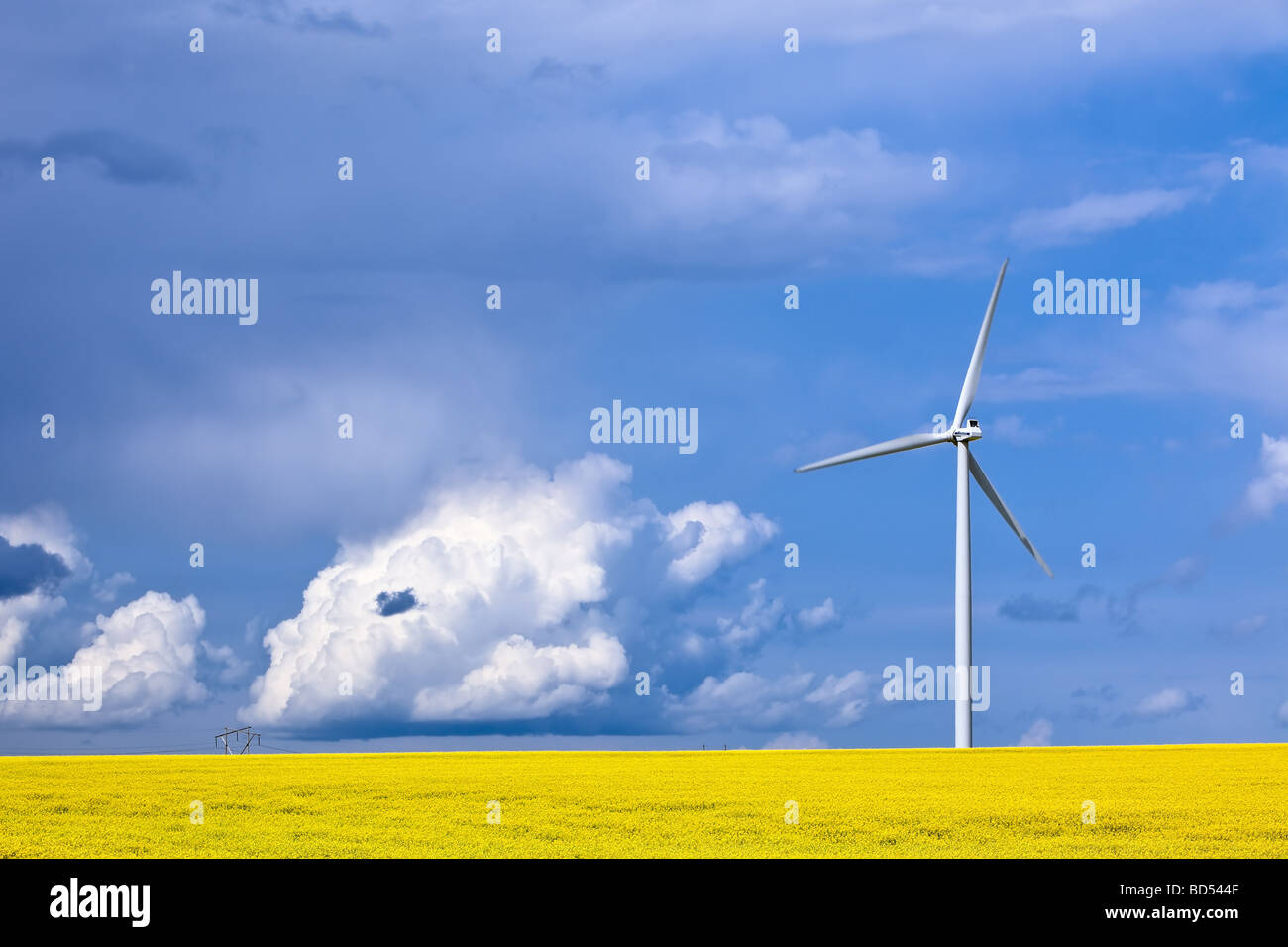 Wind Energie Turbine und Raps Feld, St. Leon, Manitoba, Kanada. Stockfoto