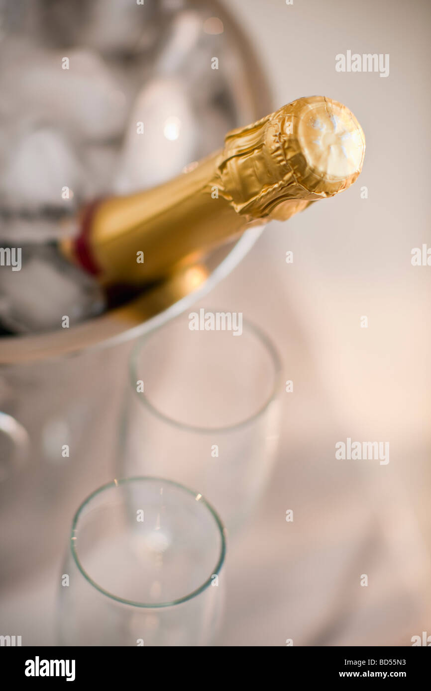 Champagner in einem Eimer mit Brille Stockfoto