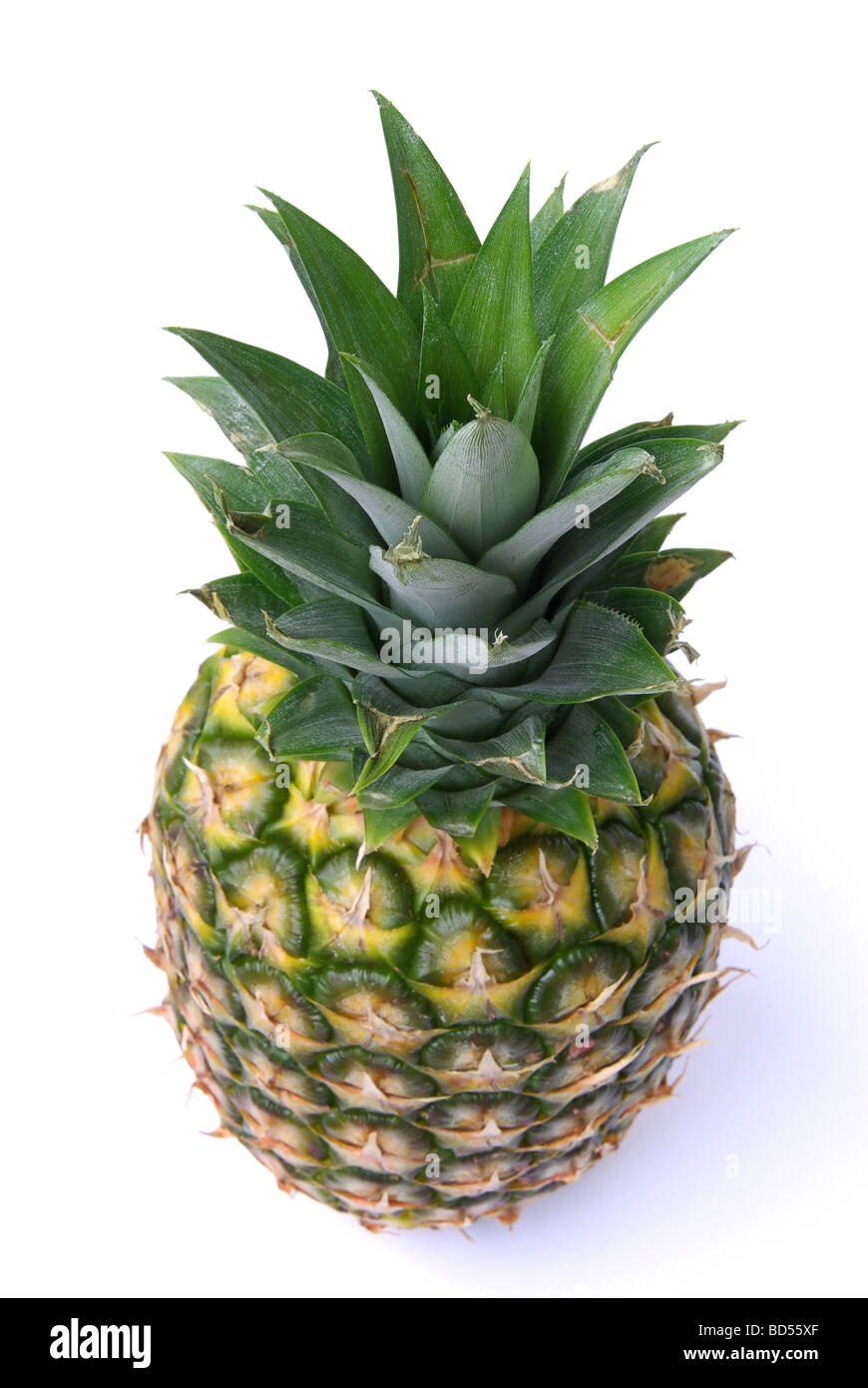 Ananas Ananas 24 Stockfoto