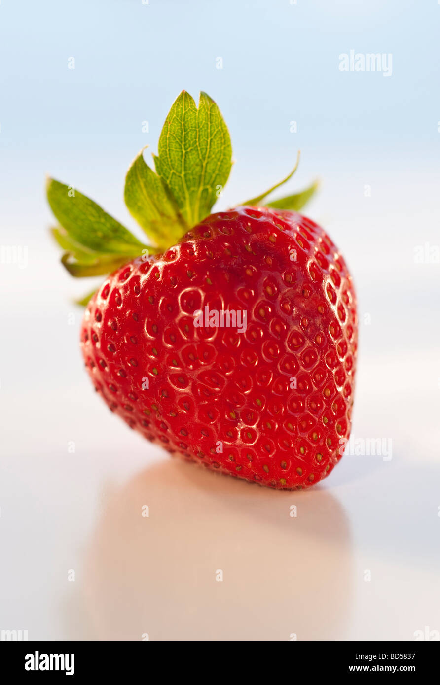Eine Erdbeere Stockfoto