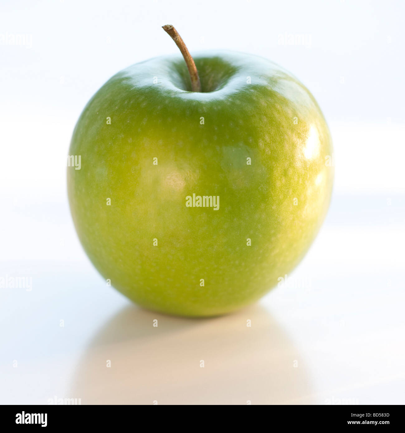 Ein grüner Apfel Stockfoto