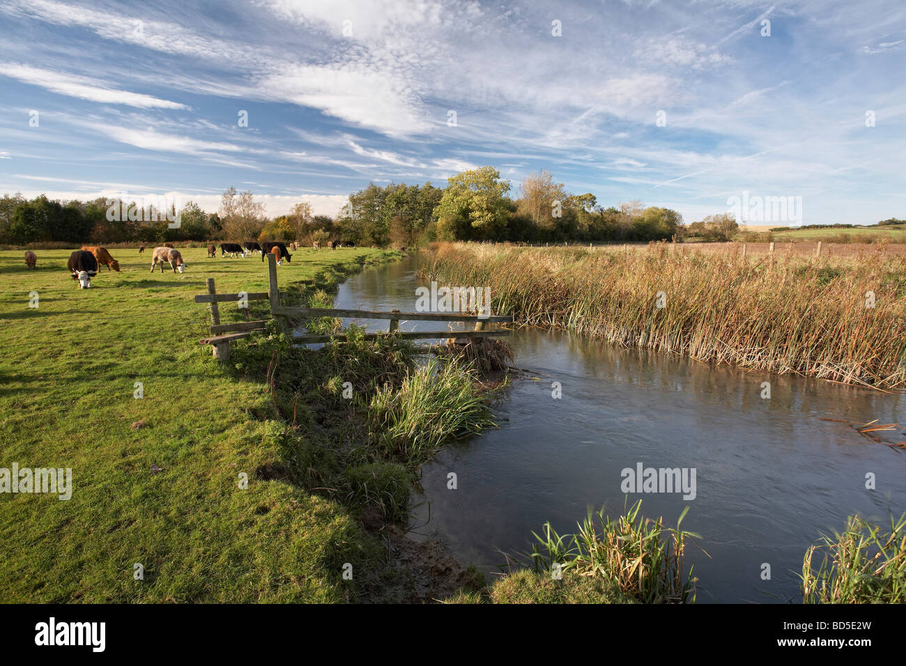 River Windrush in der Nähe von Minster Lovell Oxfordshire England UK Stockfoto