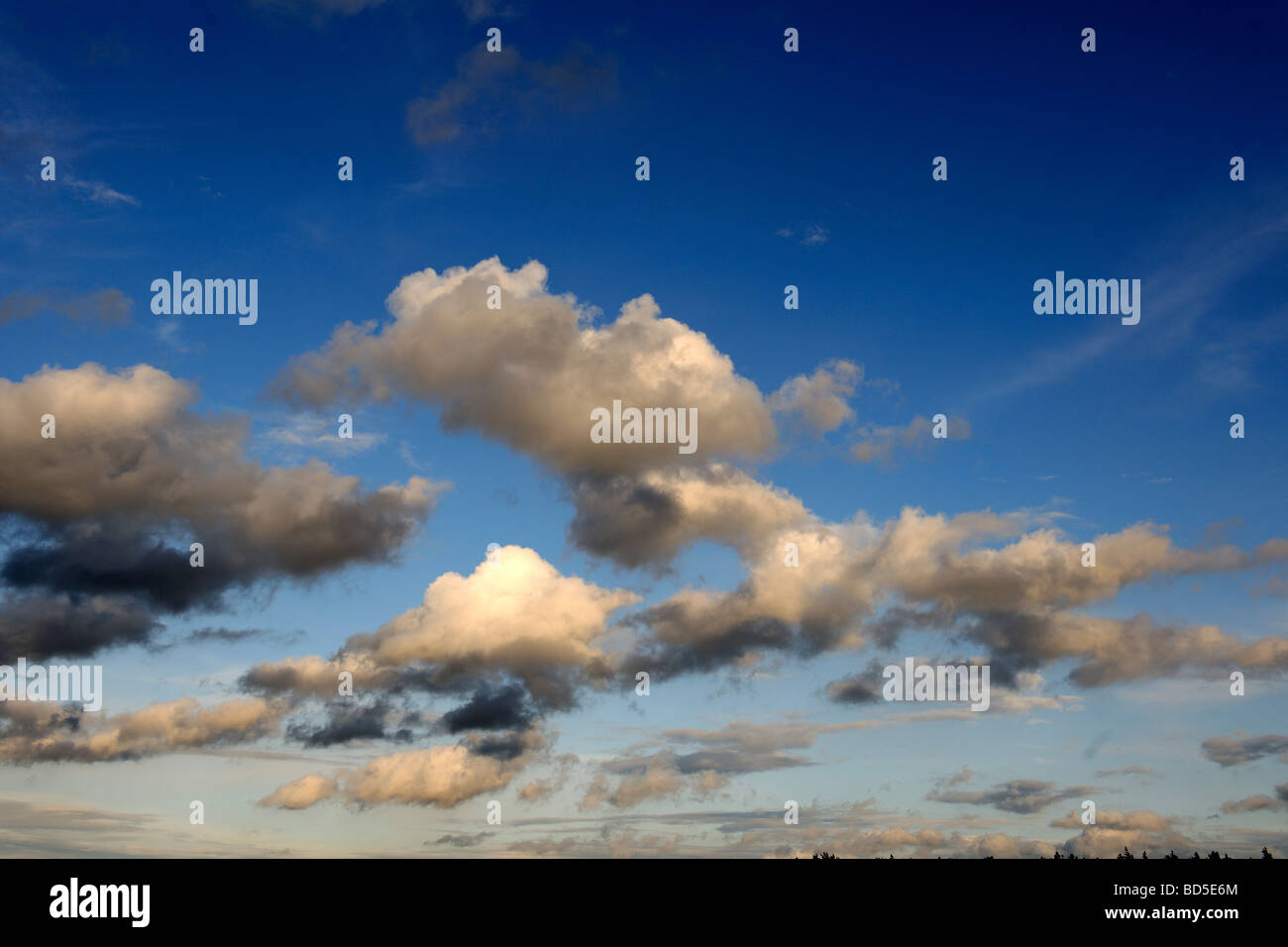 Heap-Wolken, Wolken, Regen Gewitterwolken, sammeln von Gewitter Stockfoto
