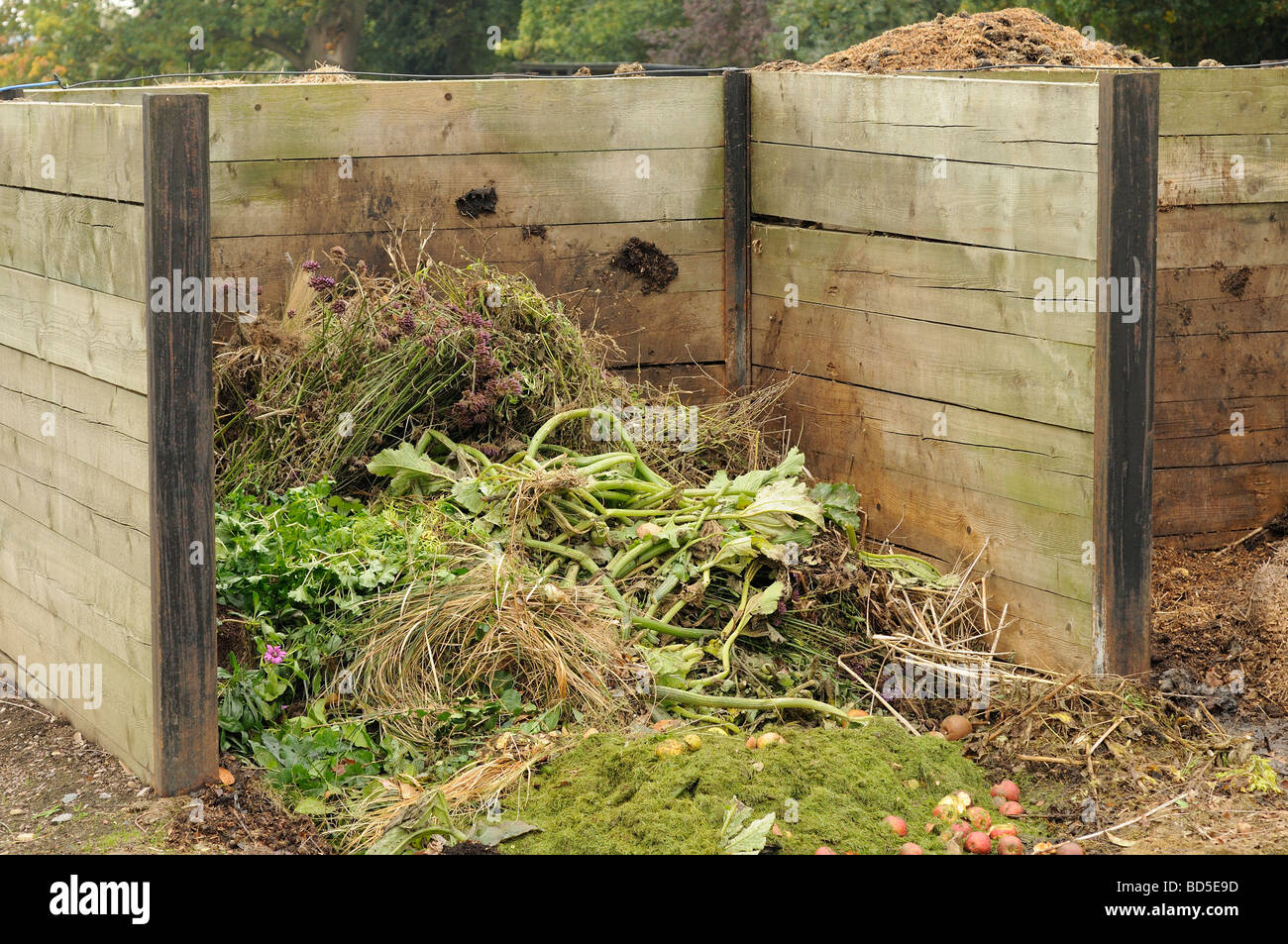 Komposthaufen Stockfoto