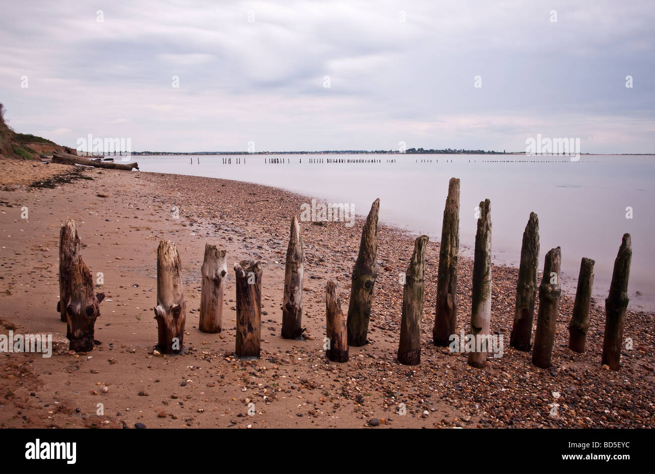 Exponierten Buhnen bei Ebbe. Mersea Island Essex UK Stockfoto