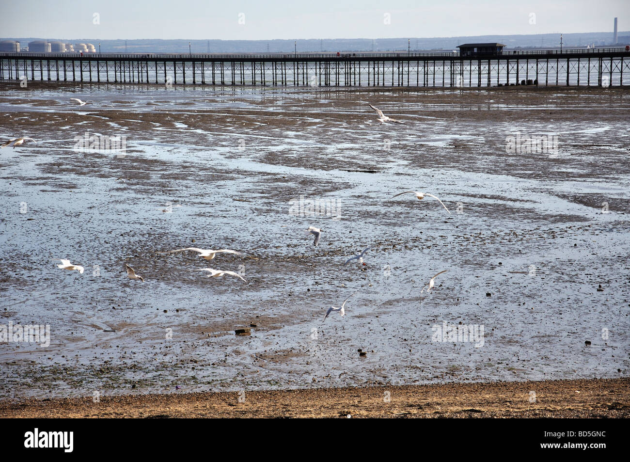 Southend Pier, Southend-on-Sea, Essex, England, Vereinigtes Königreich Stockfoto