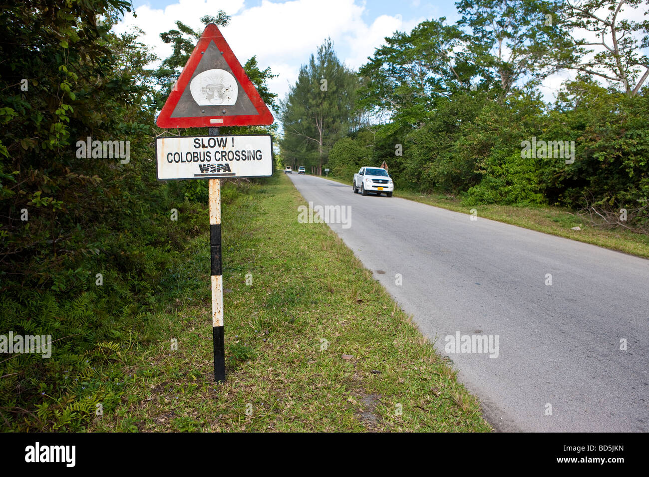 Verkehrszeichen, Fahrt langsam wegen der Affen beim Überqueren der Straße von Jozani Forest, Sansibar, Tansania, Afrika Stockfoto