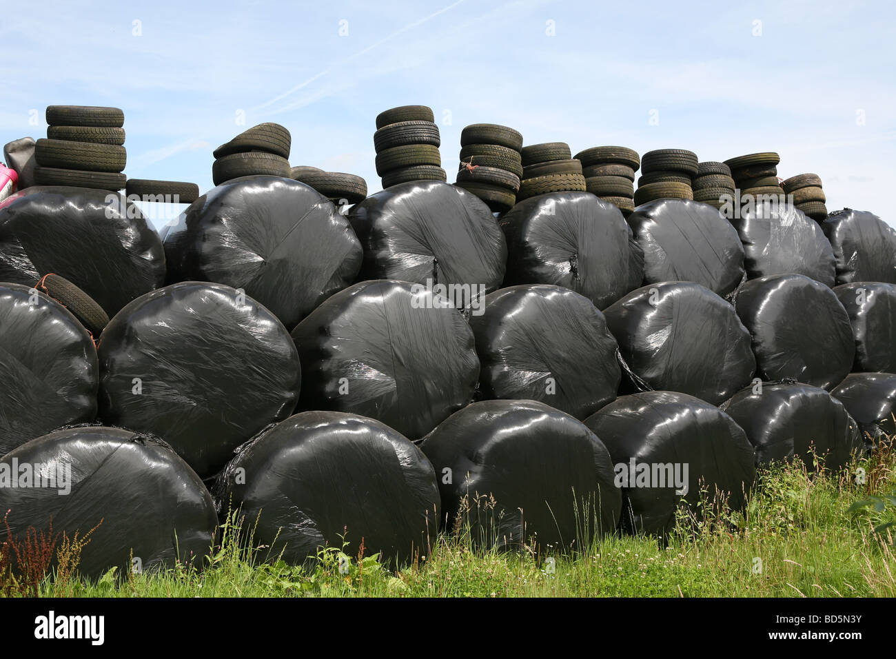Stroh Kautionen in Folie gewickelt und mit Reifen auf einem englischen Bauernhof niedergedrückt Stockfoto