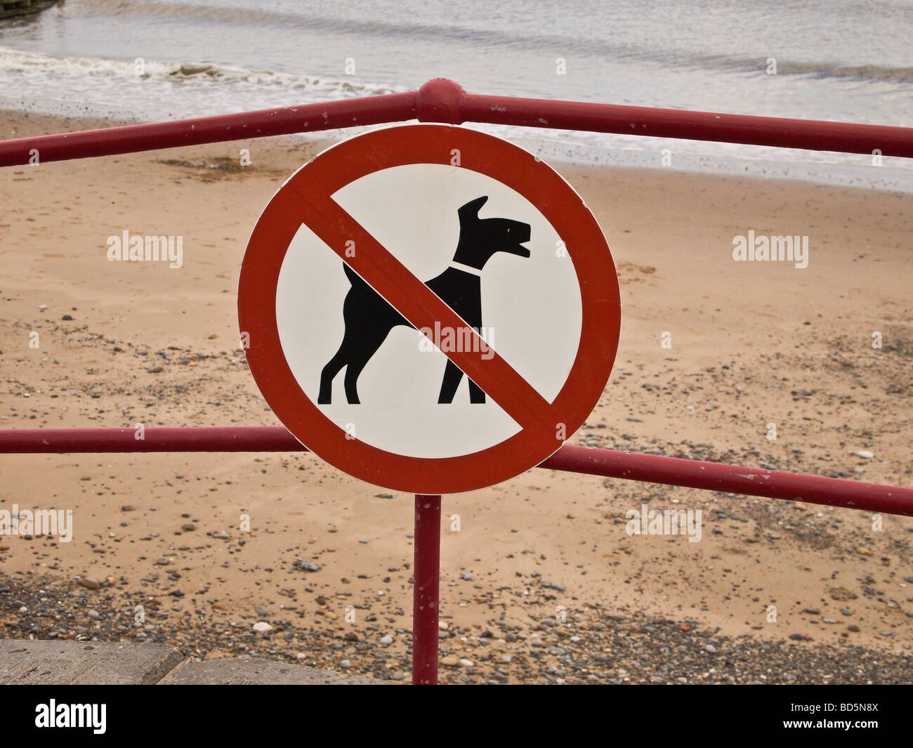 Hund Verbot Schild Strand Yorkshire UK Stockfoto
