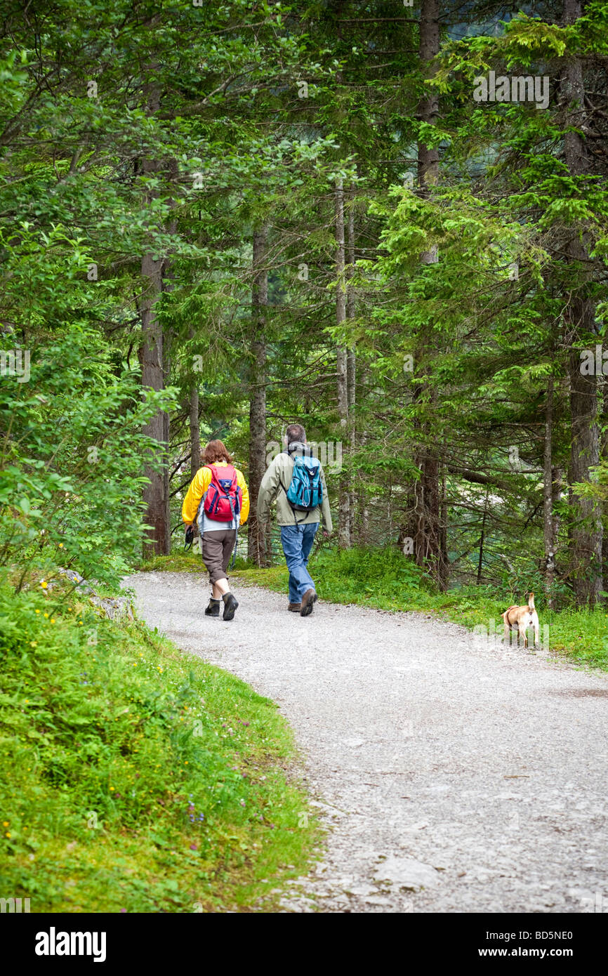 Paare, die einen Hund auf einem Waldweg in Bayern laufen Stockfoto
