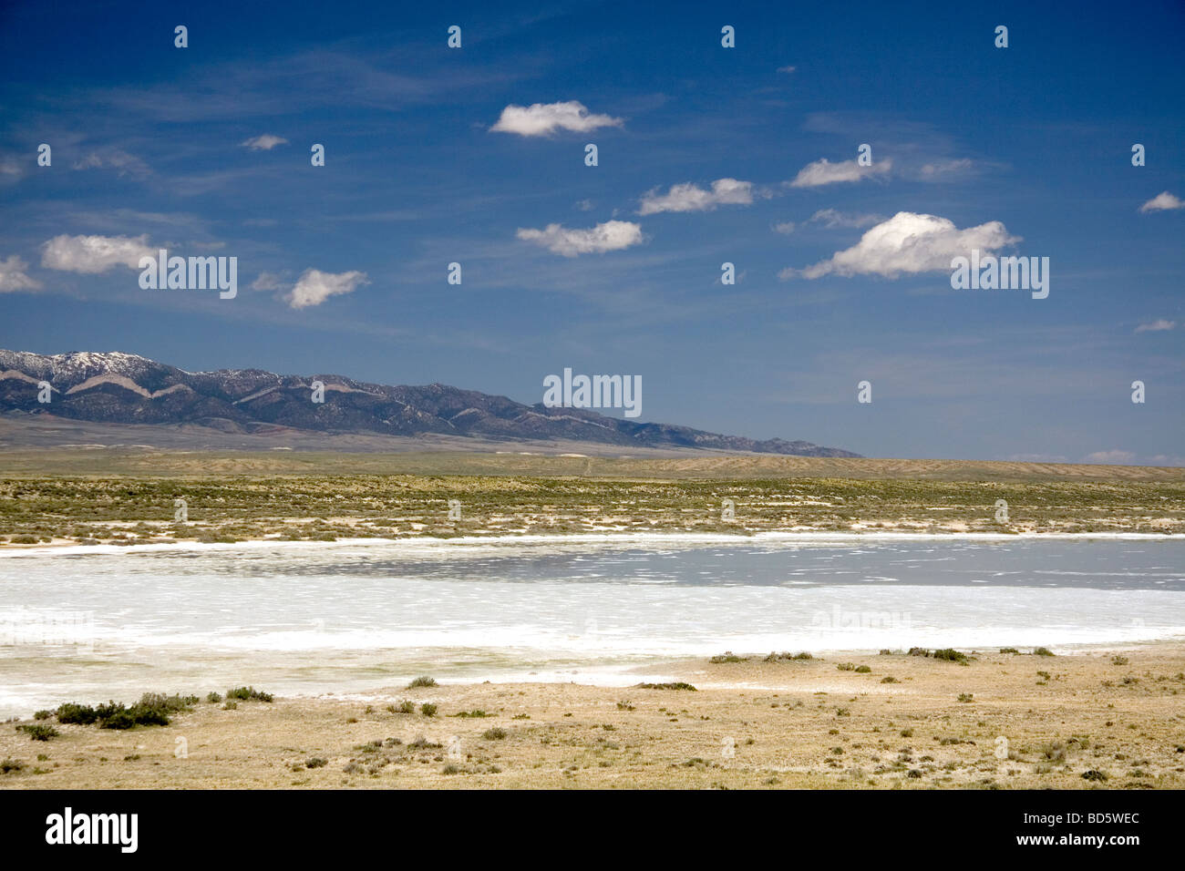 Alkalisches Salz Verdampfung Teich nördlich von Rawlins Wyoming USA Stockfoto