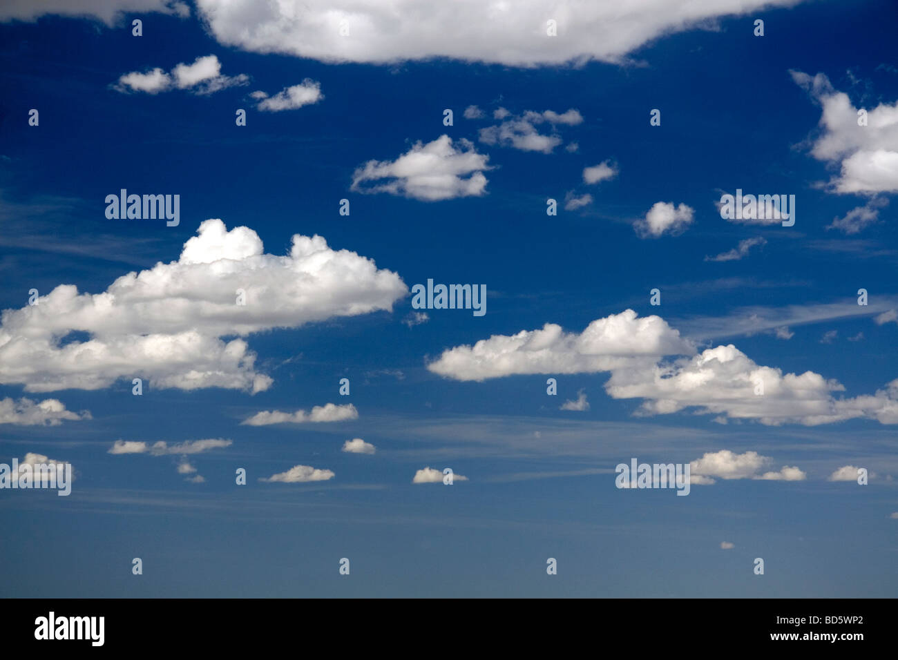 Blauer Himmel und Cumulus Wolken über Wyoming USA Stockfoto