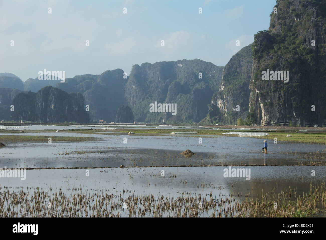 Reisfelder und Kalkstein Karst Tam Coc Ninh Binh Provinz Nord-Vietnam Stockfoto