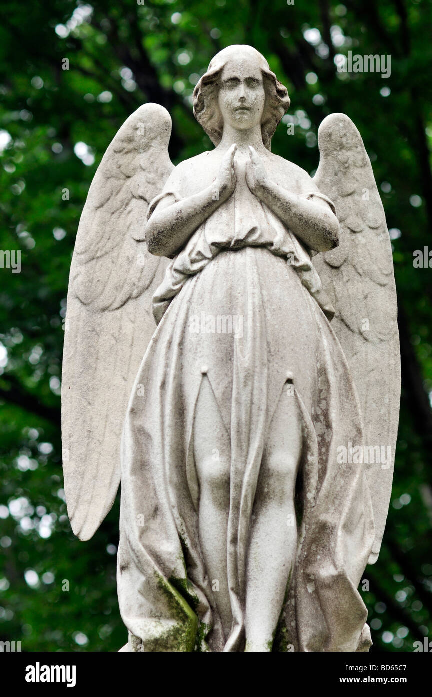 Weibliche Engel mit Flügeln Stockfoto