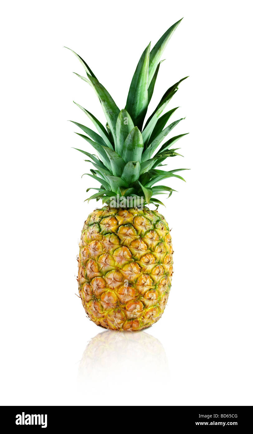 frische Ananas mit weichen Reflexion auf weißem Hintergrund Stockfoto