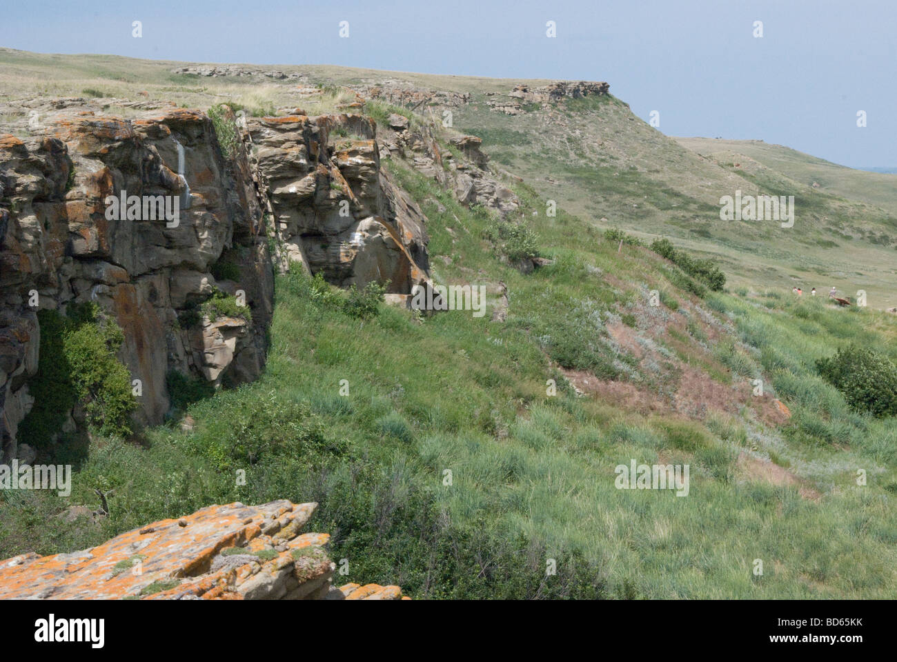 Head-Smashed-In Buffalo Jump, UNESCO-Weltkulturerbe Stockfoto