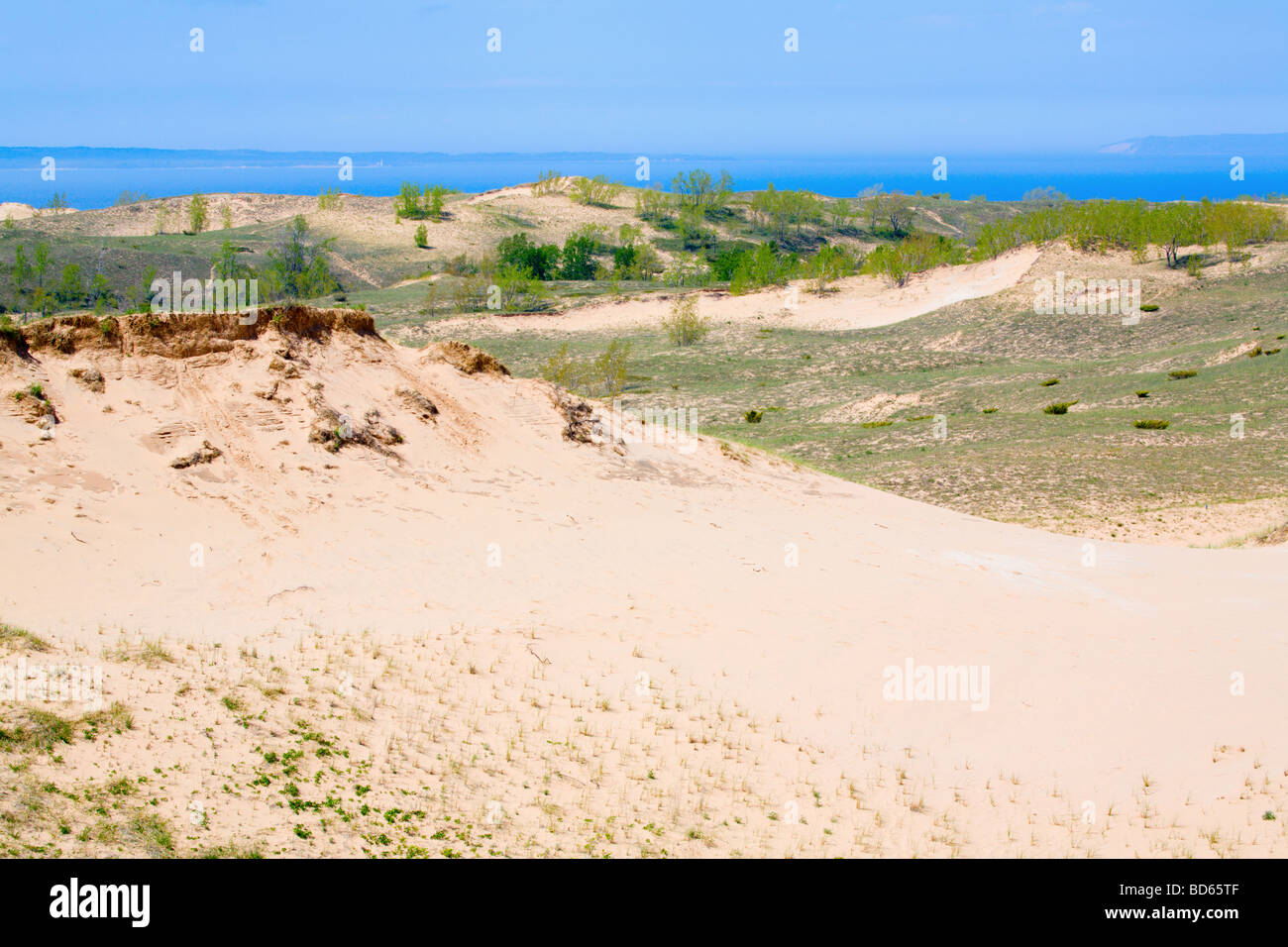 Dünen in Nord-Michigan Stockfoto