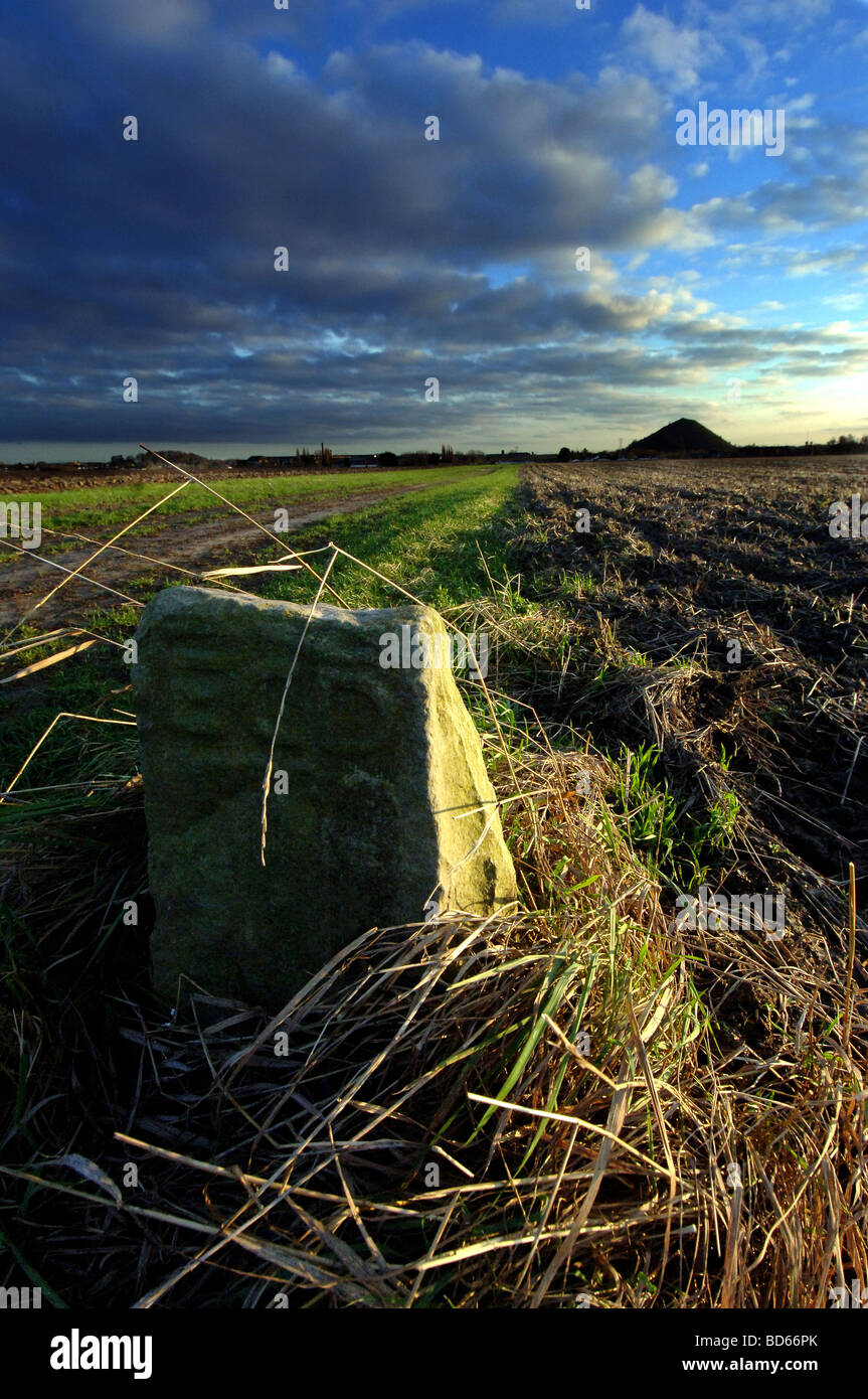 Denain (62): "Terril du Renard" Halde Stockfoto