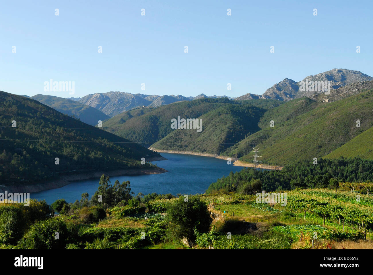 Peneda-Gerês Nationalpark (Portugal): Rio Lima Stockfoto