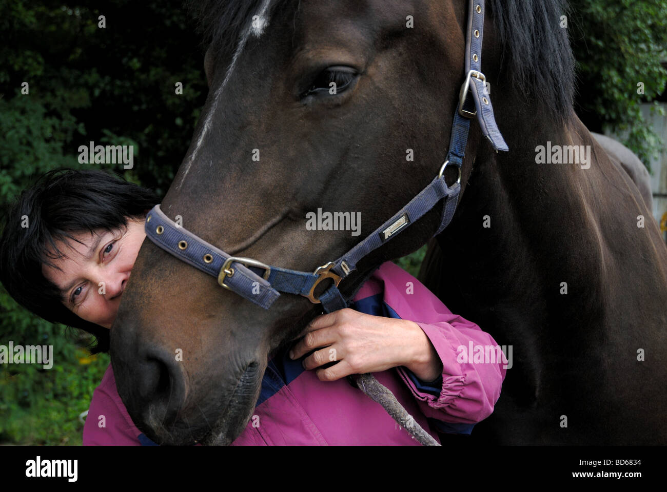 Horsey Lady Stockfoto