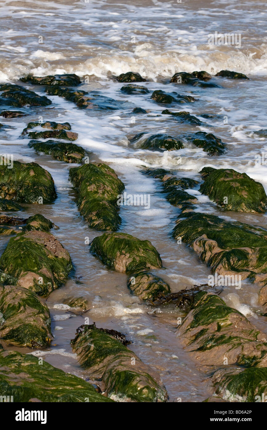 Flut auf das Wattenmeer von der Küste von Essex UK Stockfoto