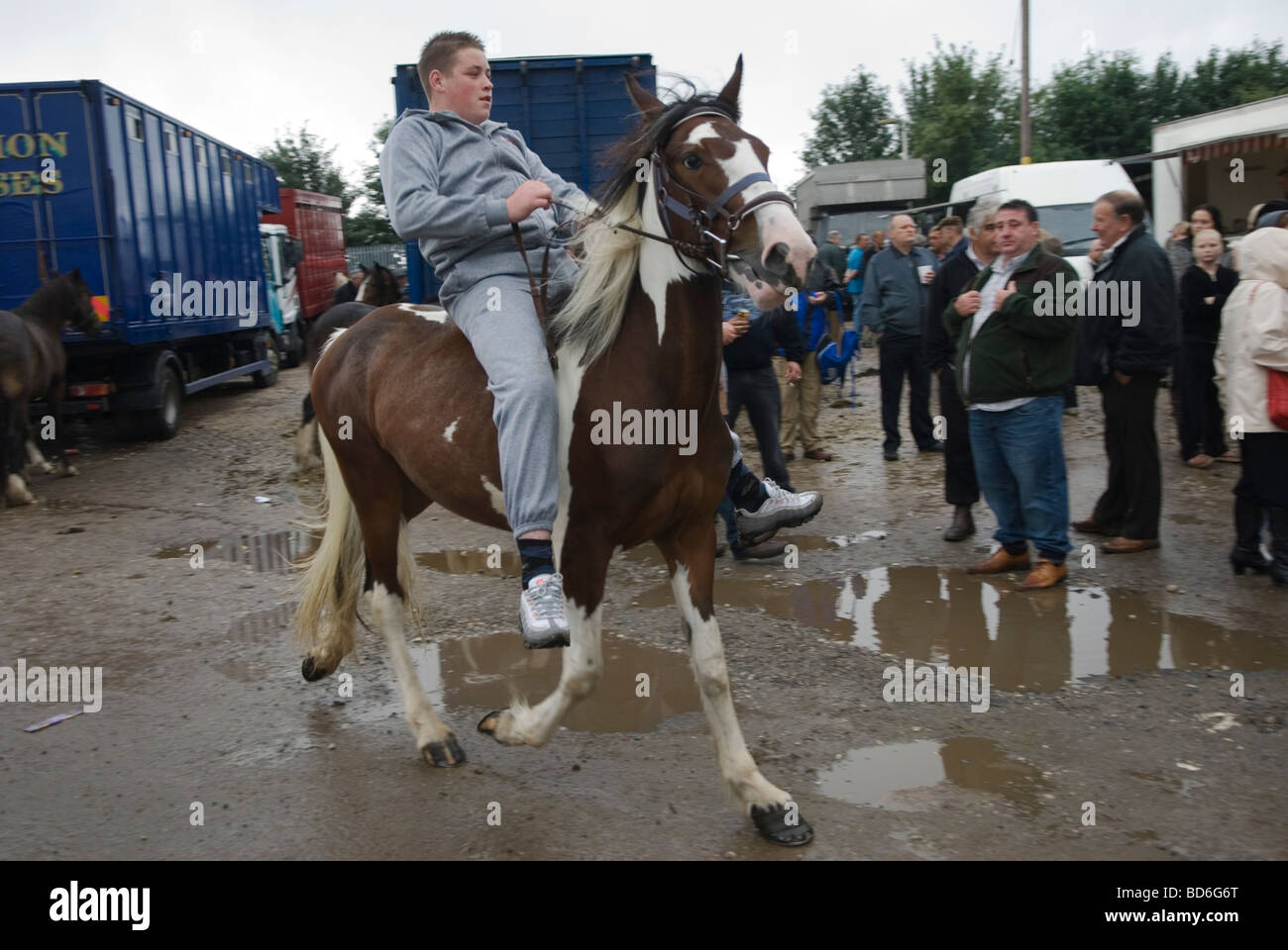 Brigg Horse Fair Brigg Lincolnshire England 2009 2000s UK HOMER SYKES Stockfoto