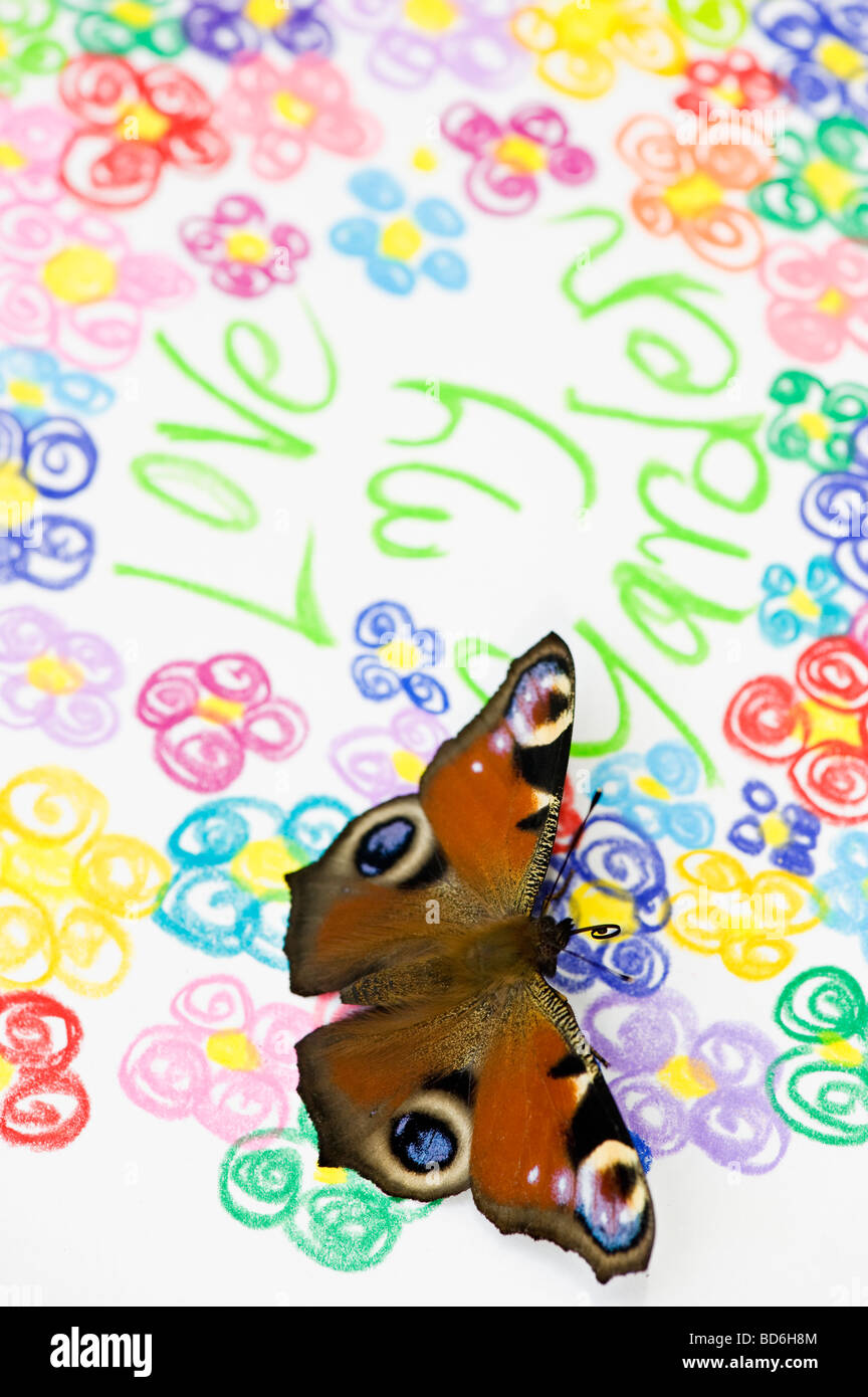 Aglais Io. Peacock Schmetterling auf Liebe meinen Garten und bunten Blumen zeichnen Stockfoto