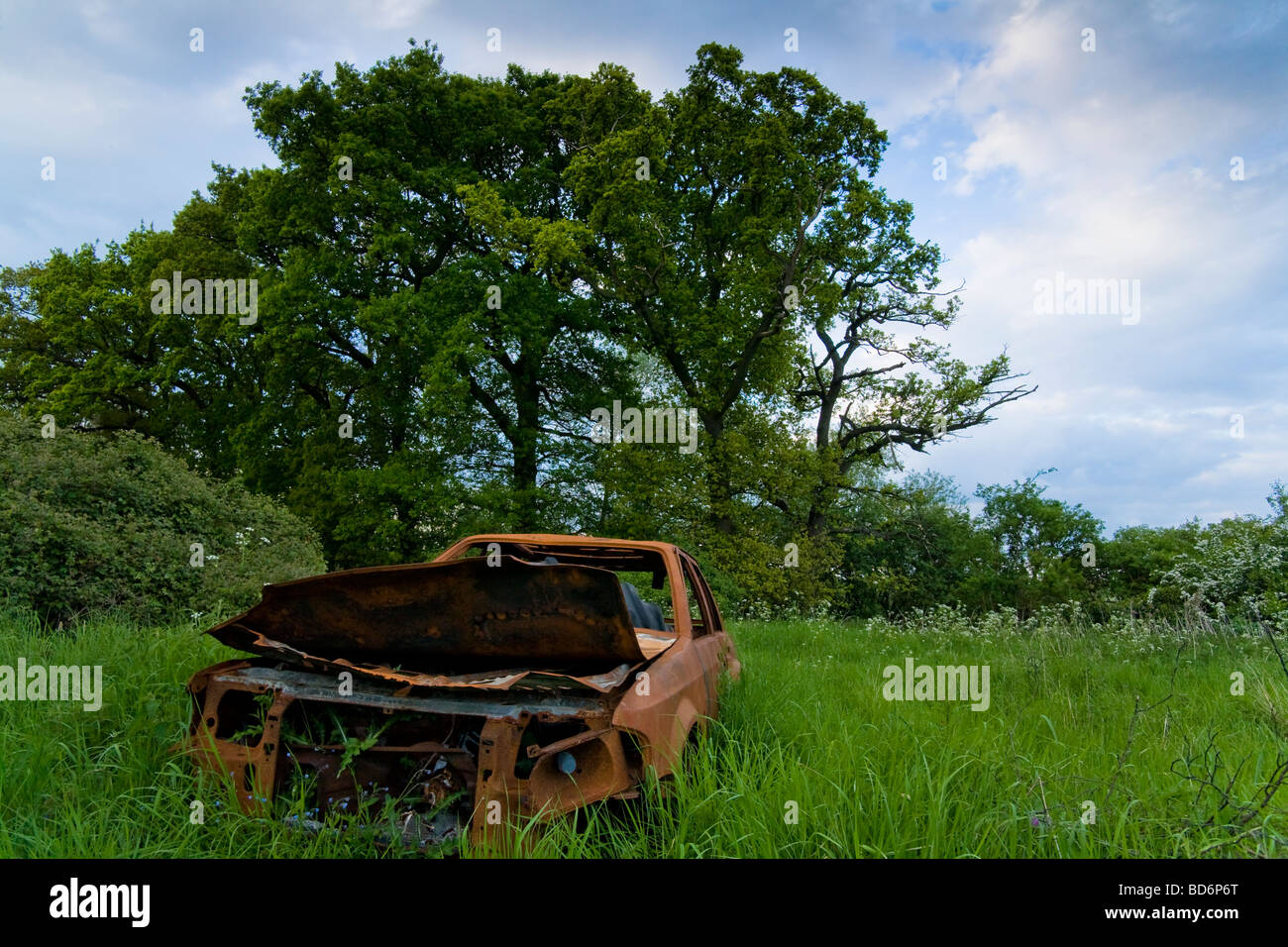 eine ausgebrannte heraus und verlassenen Auto in einer natürlichen Wiese links Stockfoto