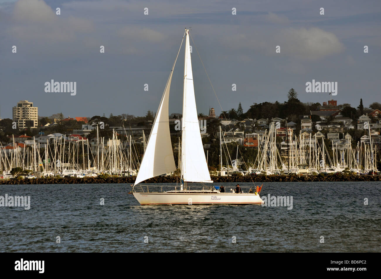 Die Charter Yacht segeln der Stolz von Auckland Waitemata Hafen mit der Westhaven Marina und Auckland City darüber hinaus. Stockfoto