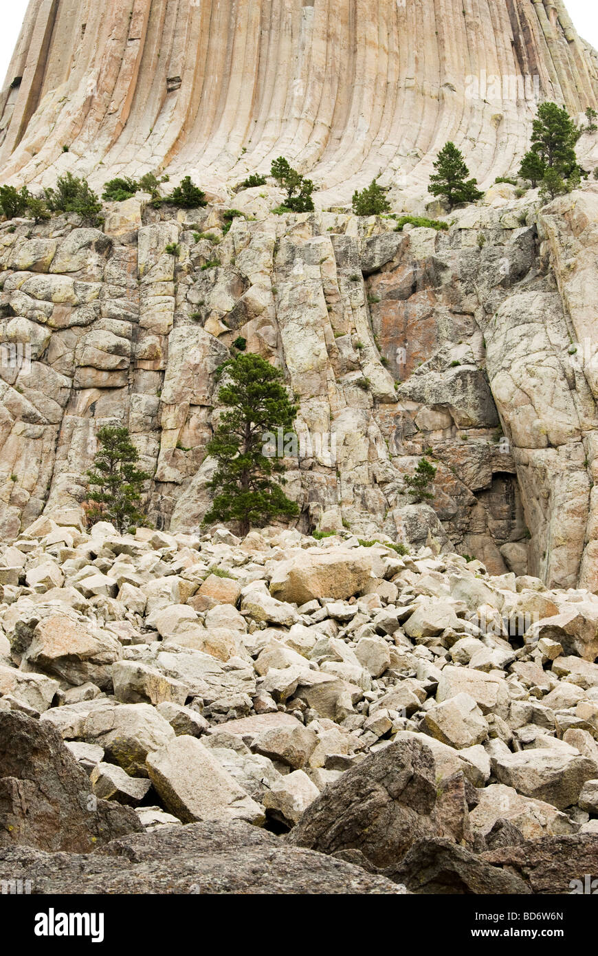 Ansicht des Devils Tower National Monument in Wyoming Stockfoto