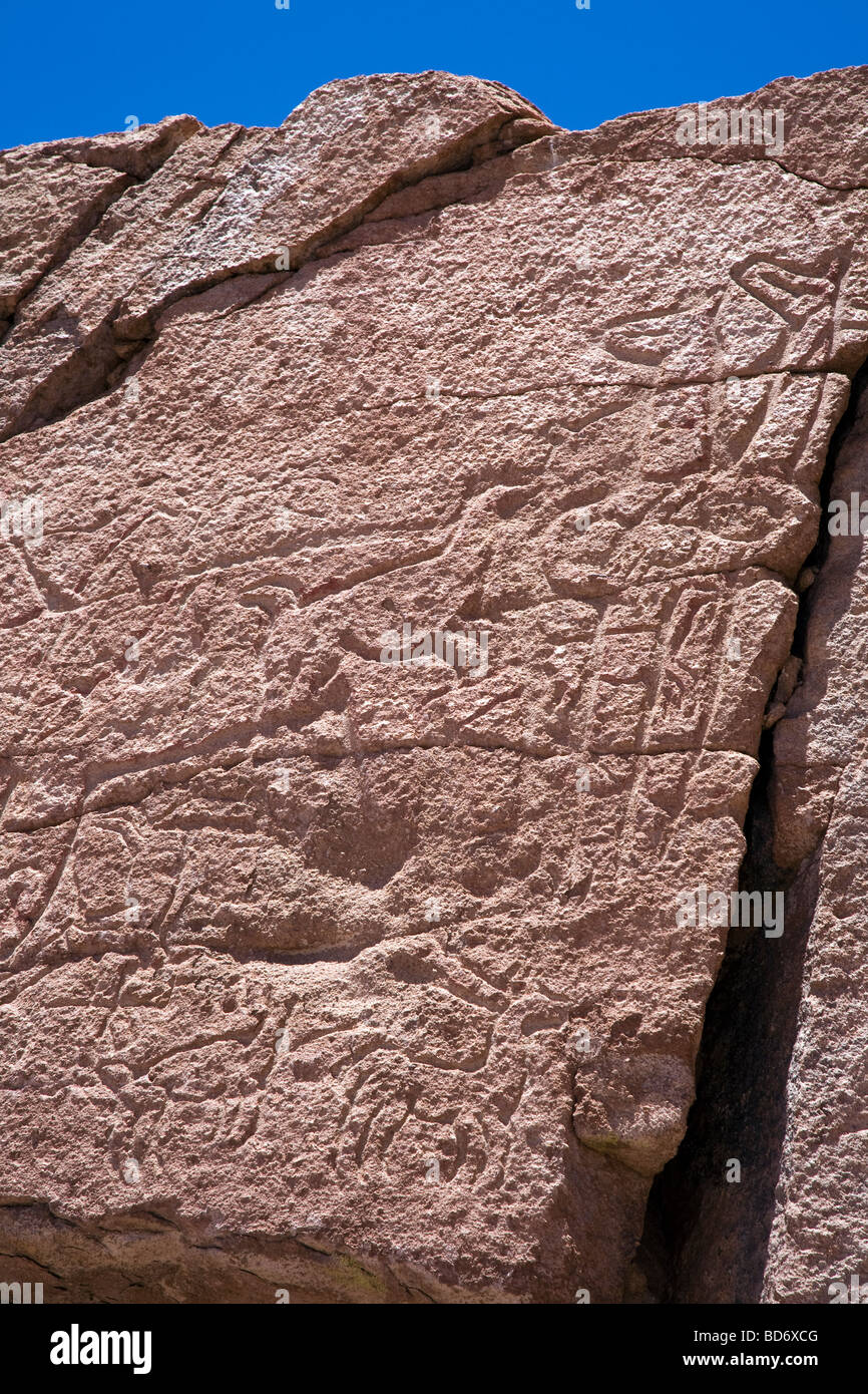 Alten Felszeichnungen auf die Felswände am Yerbas Buenas, Atacama-Wüste in Chile zeigt einheimische Tiere Stockfoto