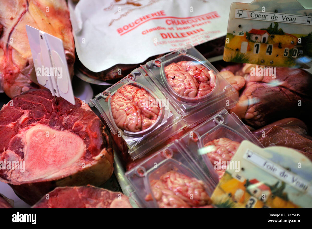 Gehirne von Schafen in einem französischen Markt zu verkaufen Stockfoto