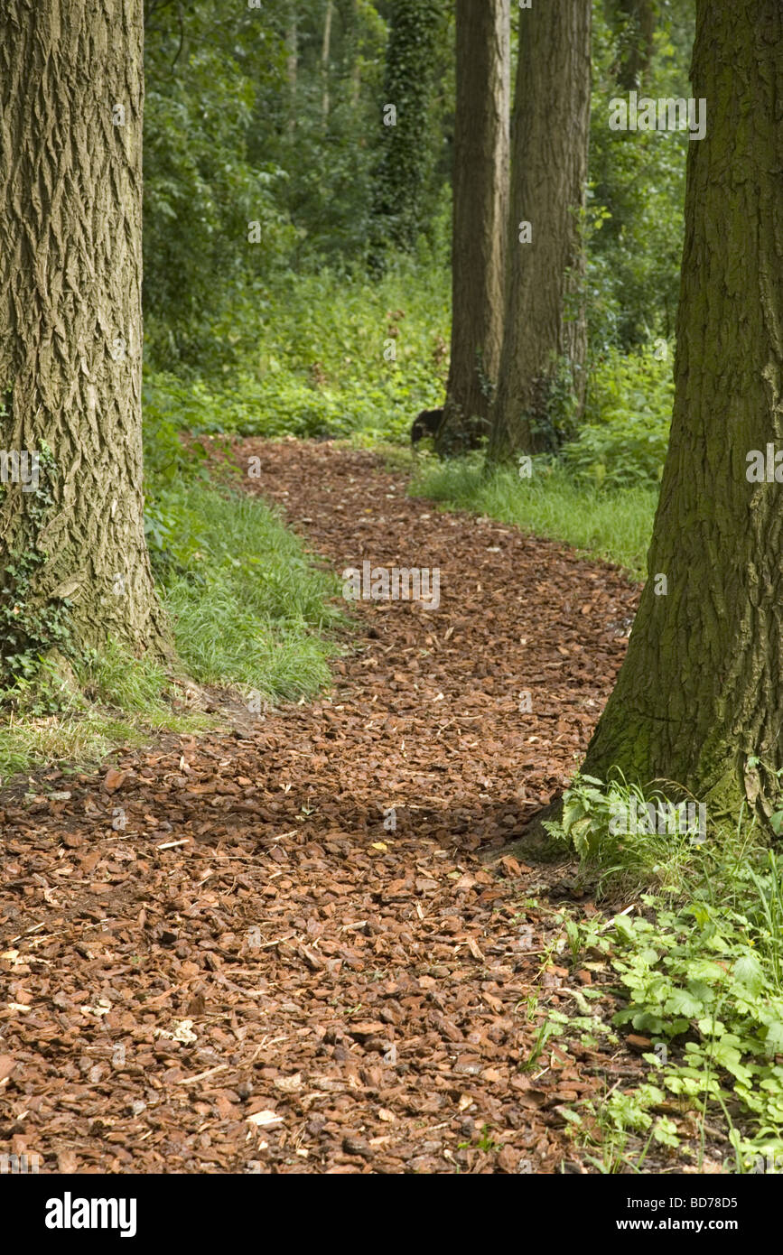 Pfad in einem Park gemacht Fir Rinde, Alblasserdam, Zuid-Holland, Niederlande Stockfoto