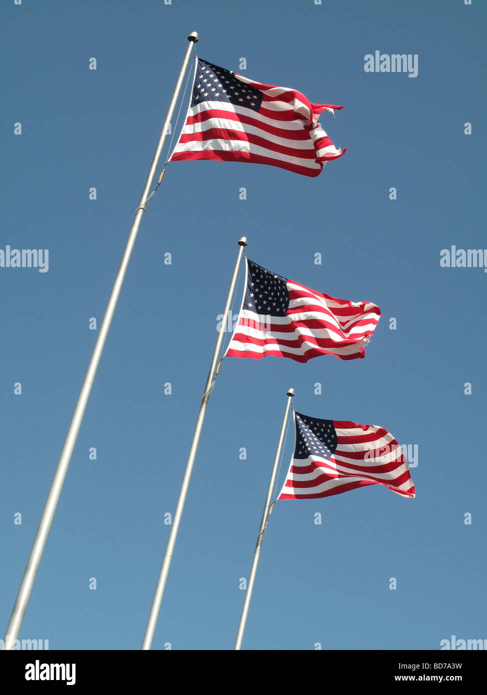 Drei amerikanische Flaggen stolz im Wind wehen. Stockfoto